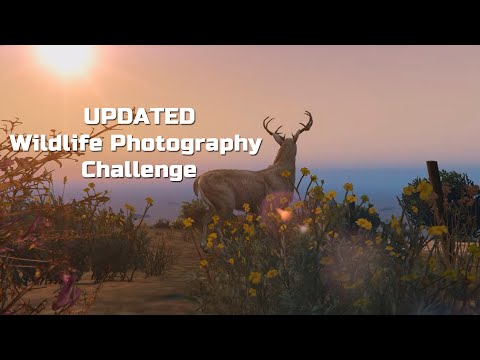 UPDATED Wildlife Photography Challenge | Grand Theft Auto V