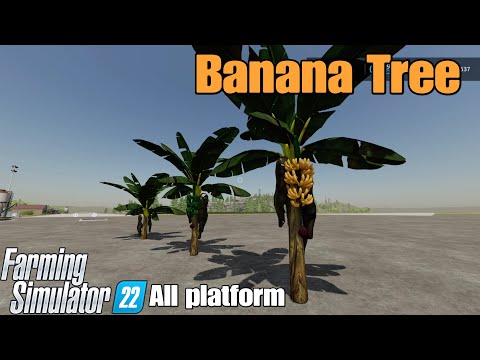 Banana Tree / FS22 mod for all platforms